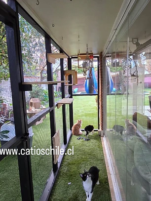 Catio La cisterna 