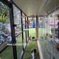 Catio La cisterna  - Miniatura 2