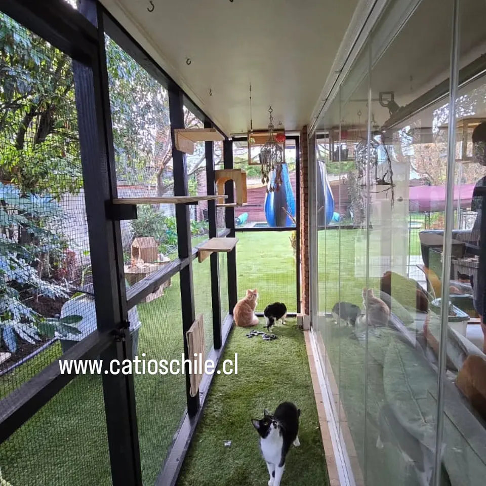 Catio La cisterna  2