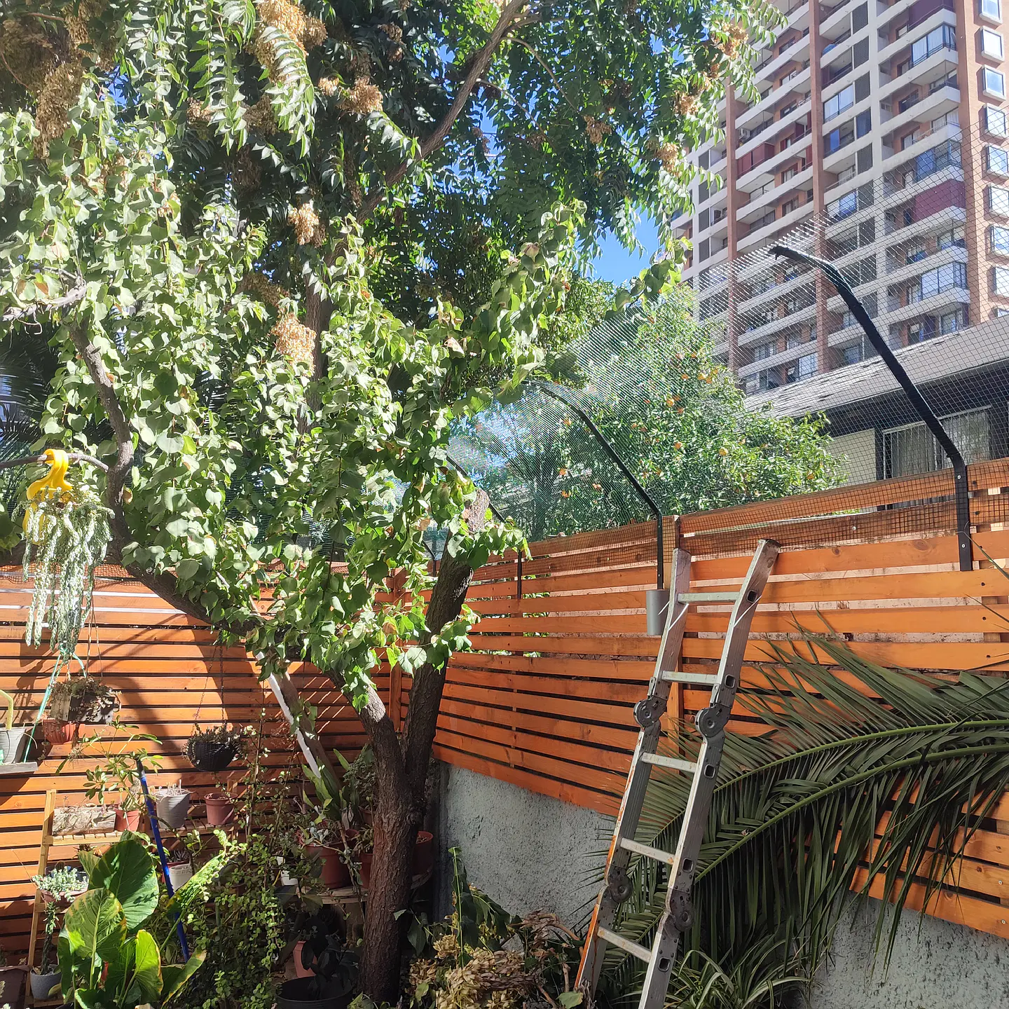 Pedido 1359 2