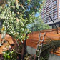 Pedido 1359 - Miniatura 2