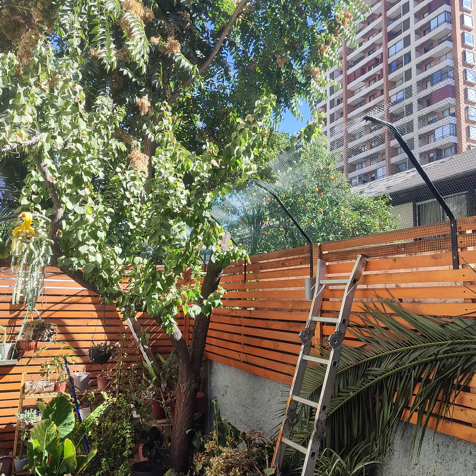Pedido 1359 2