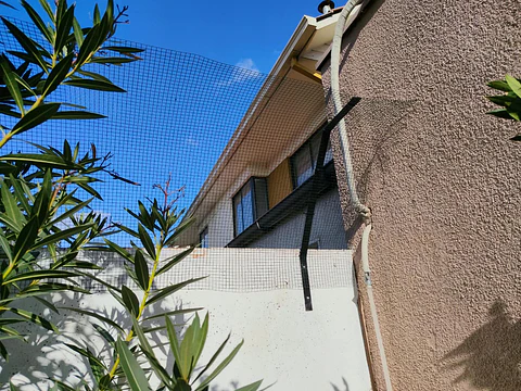 Cierre para gatos 