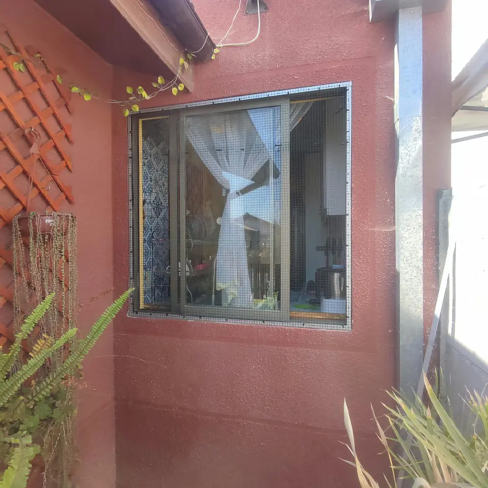 Malla seguridad Gato 1