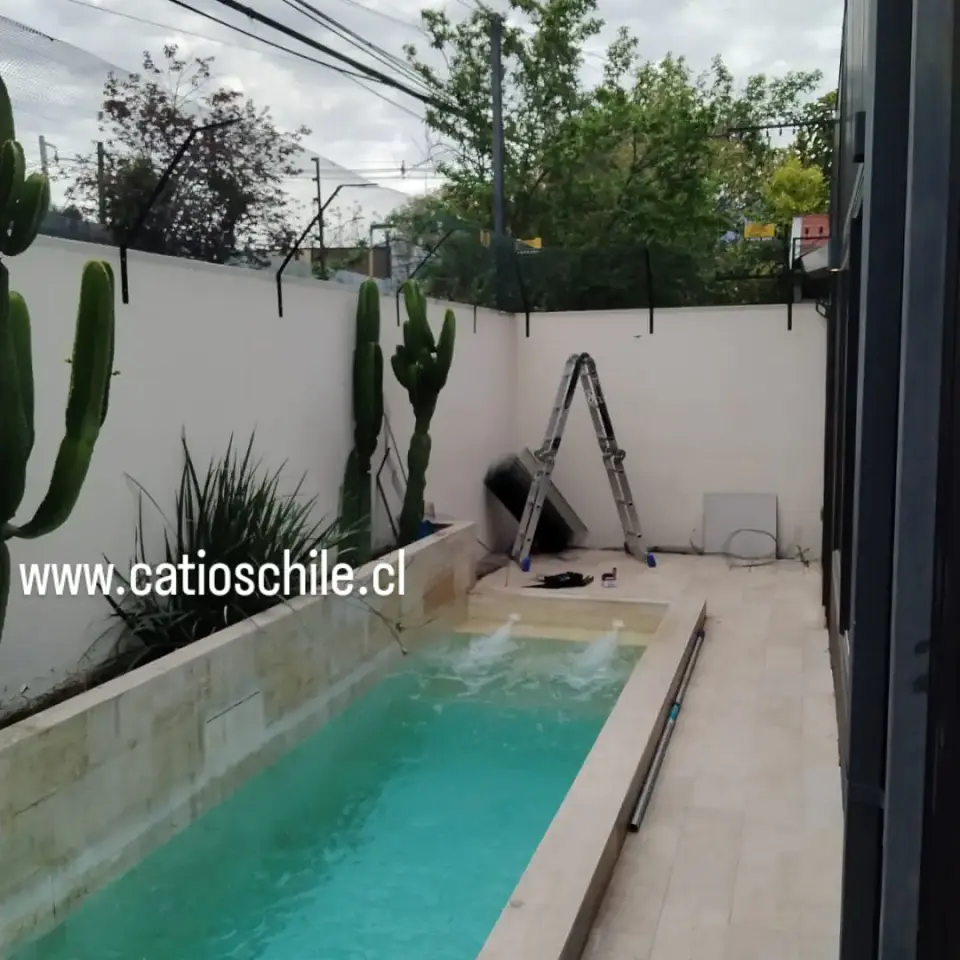 Cierre para gatos  1