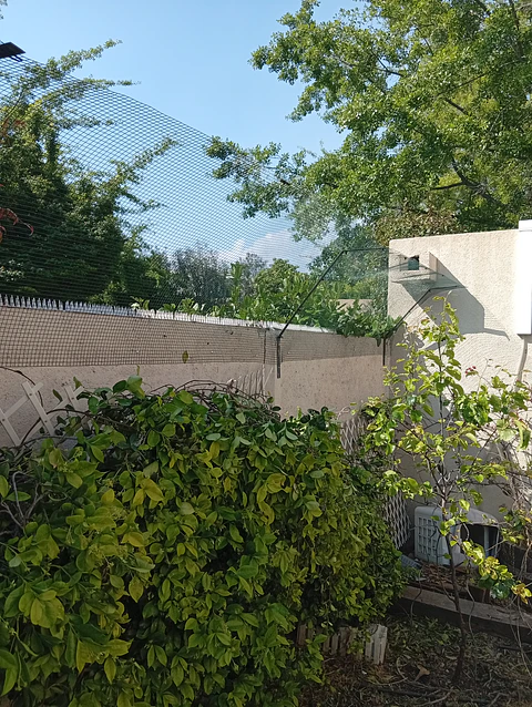 cierre perimetral gato ,malla ventana 
