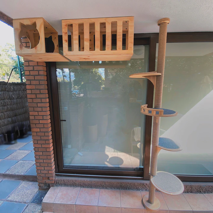 Pack Mirador Felino 1