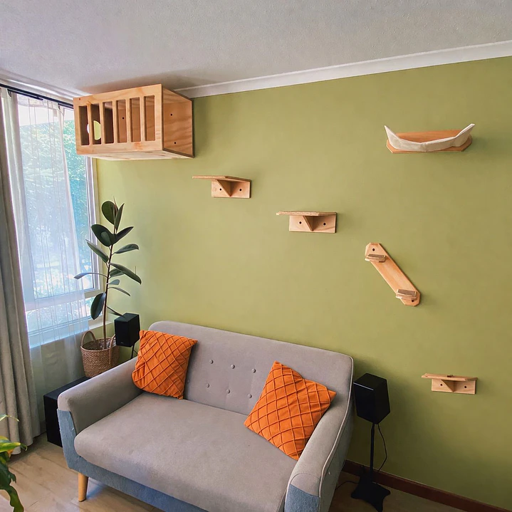 Pack Descanso Felino 1