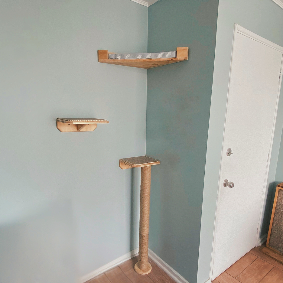 Todos los productos 🐾