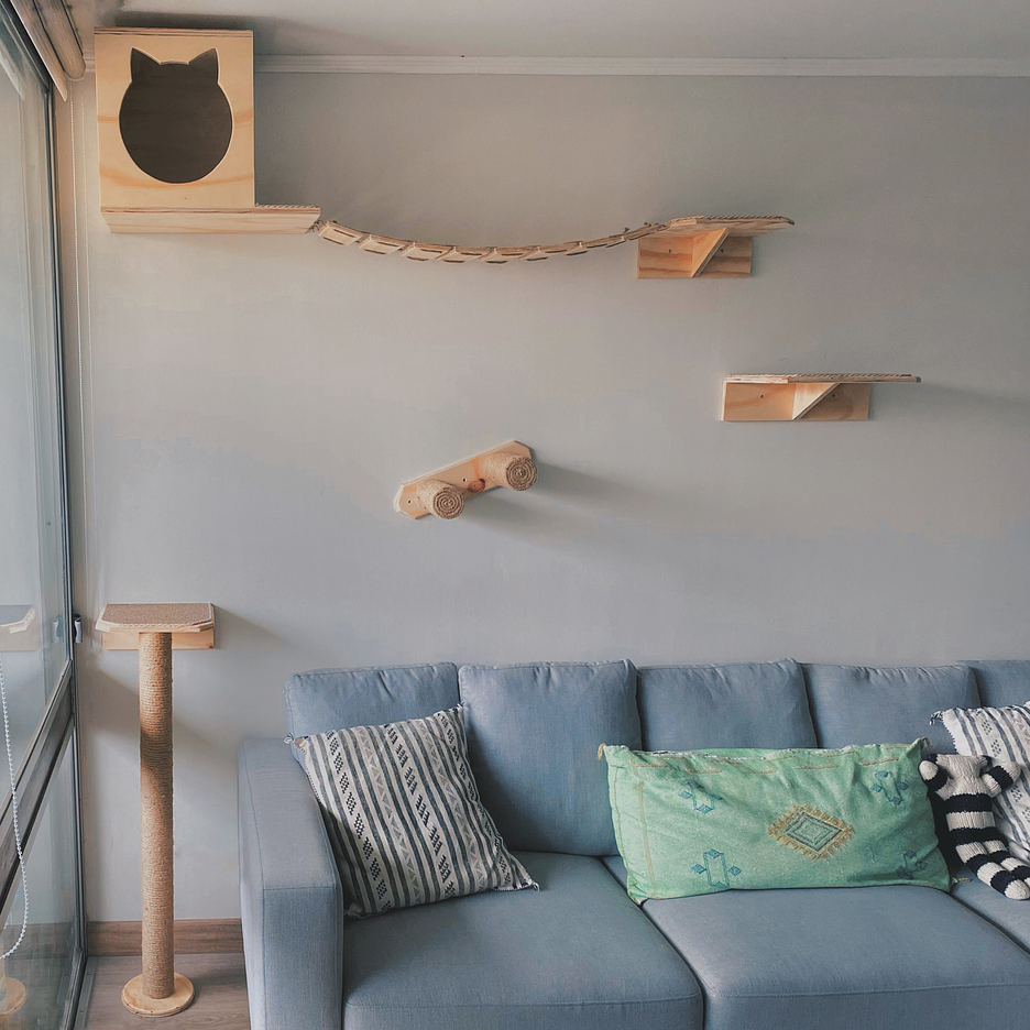 Gimnasios y circuitos