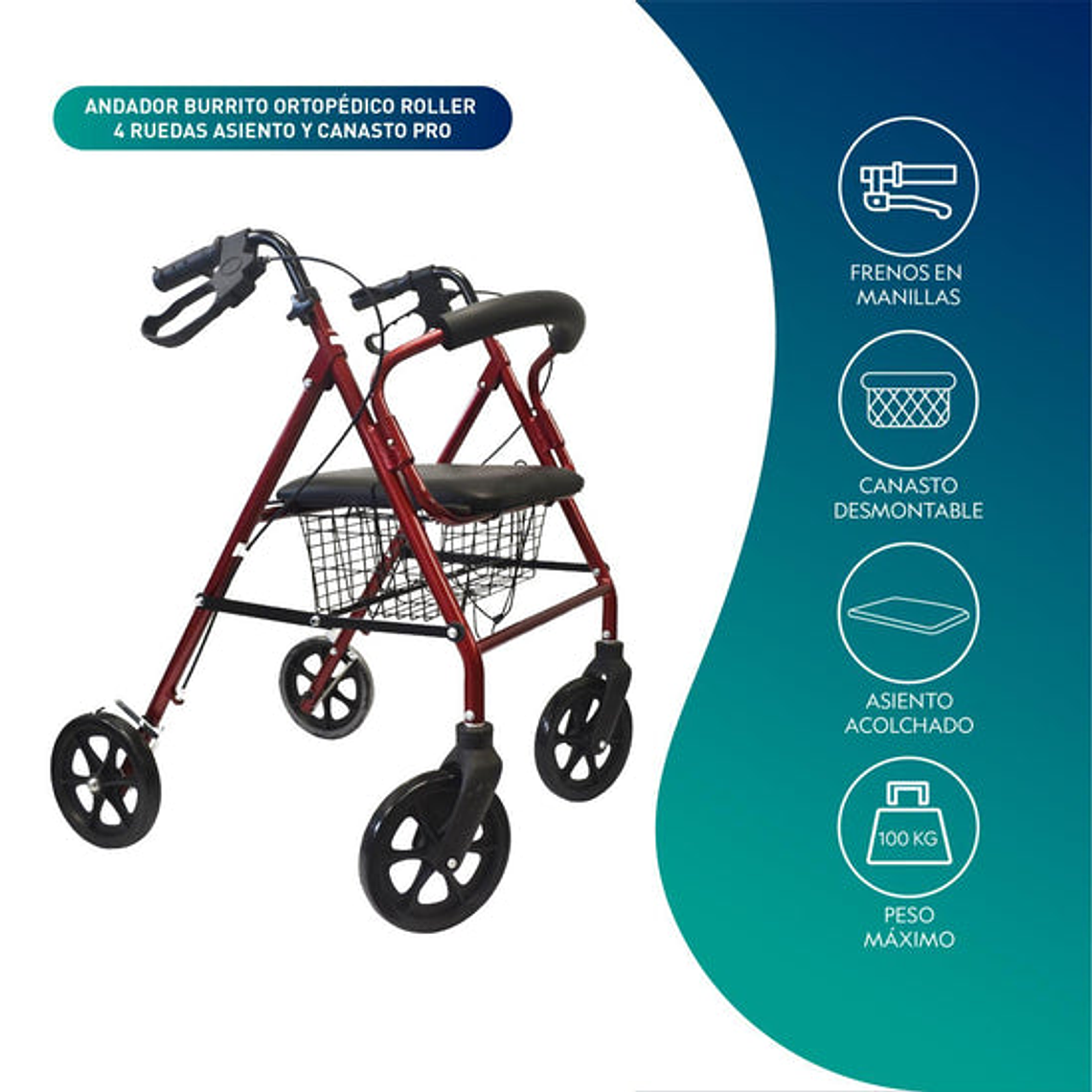 Andador Burro Ortopédico 4 Ruedas - Asiento y Canasto PRO 3