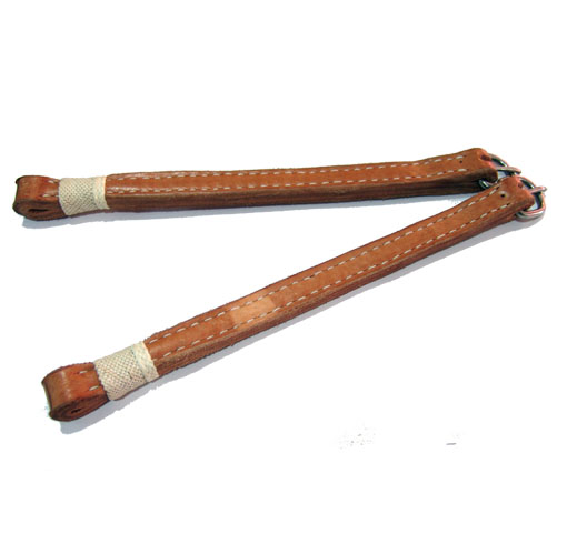 Arcionera Con Aguijón imagen 1