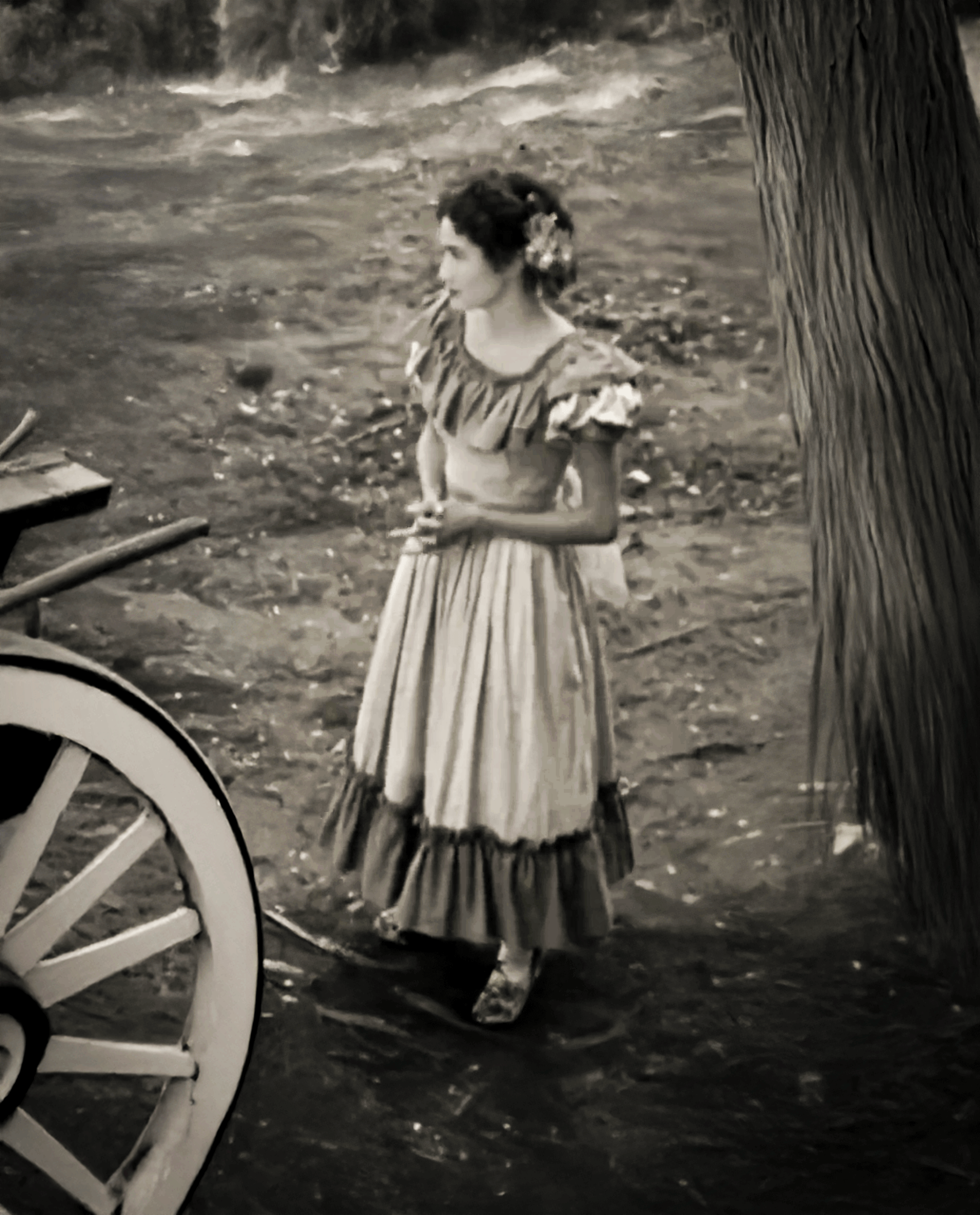 Vestido De Huasa China Flores Variadas imagen 7