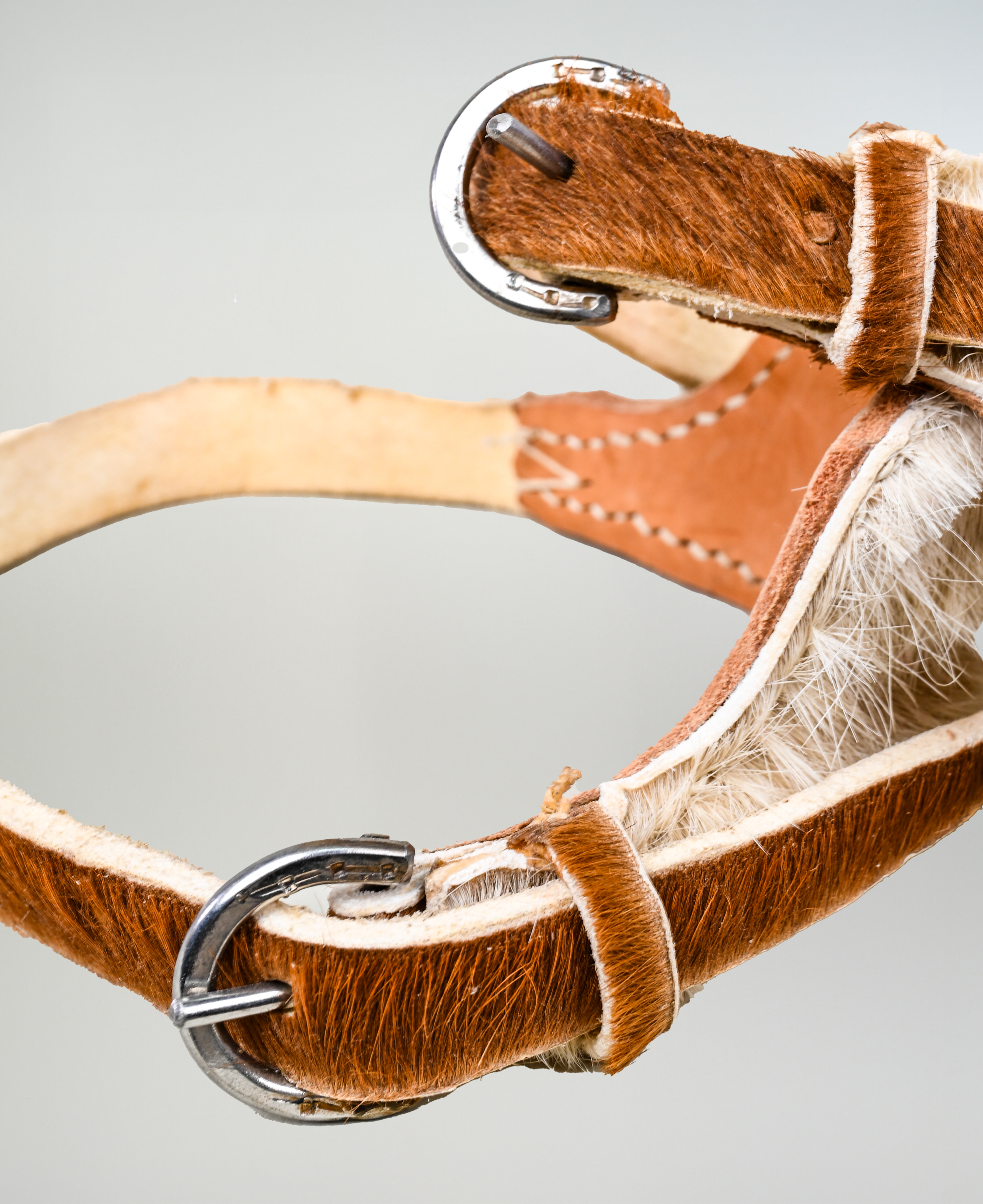 Talonera de Huaso Nonato imagen 3