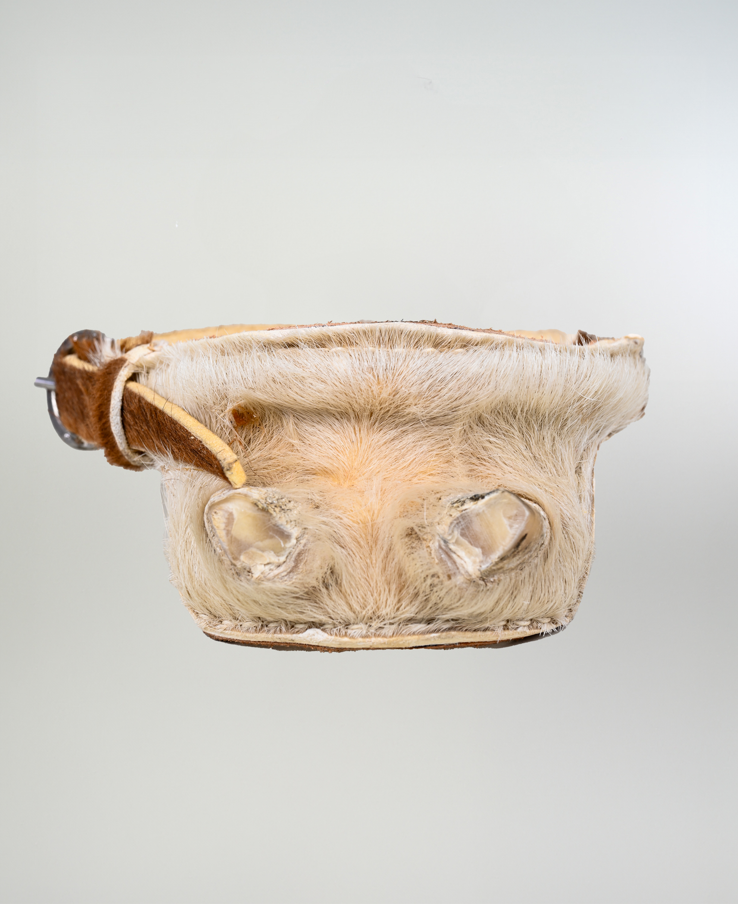 Talonera de Huaso Nonato imagen 2