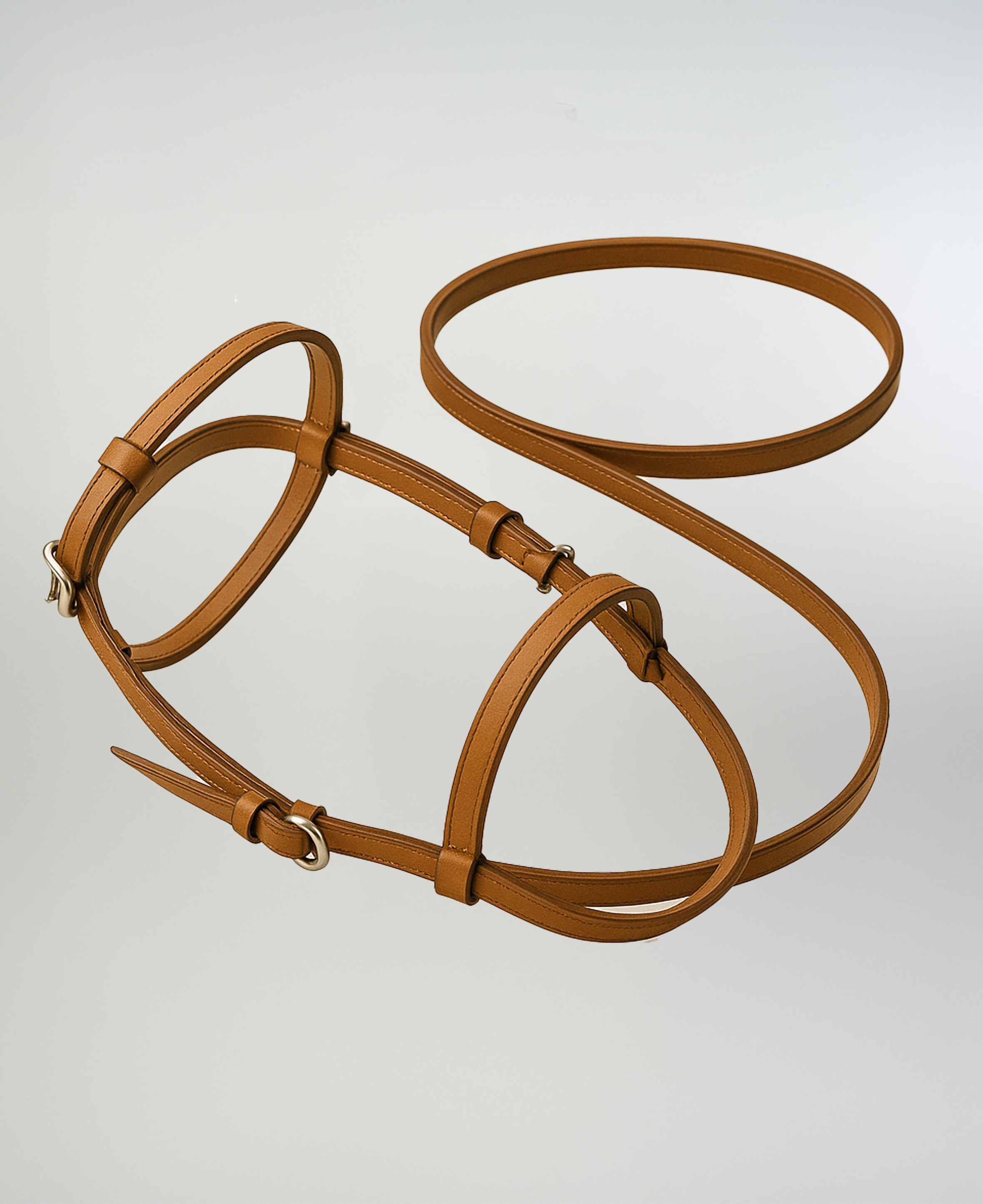 Rienda Completa En Suela imagen 1