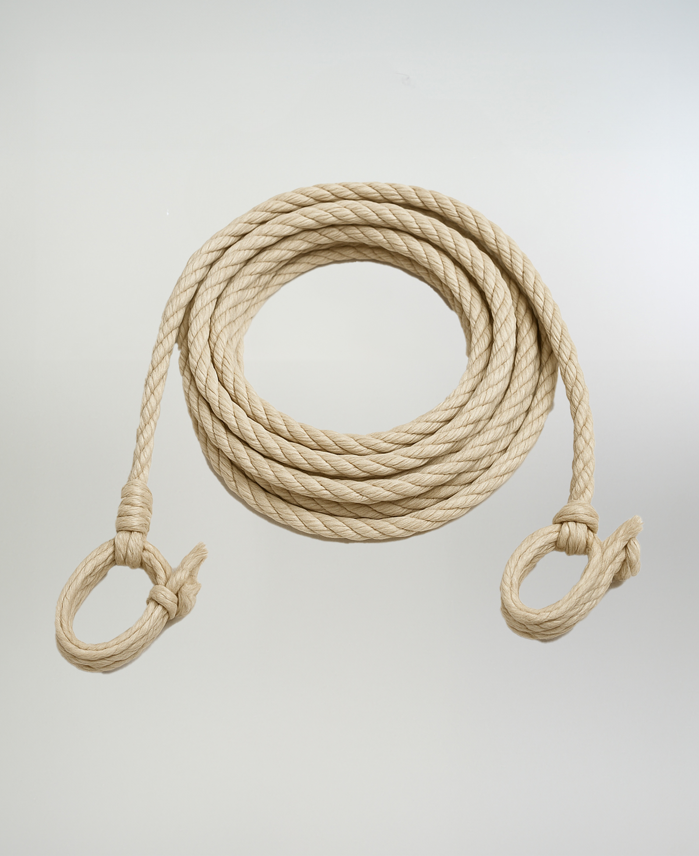 Lazo De Lujo Simple imagen 1