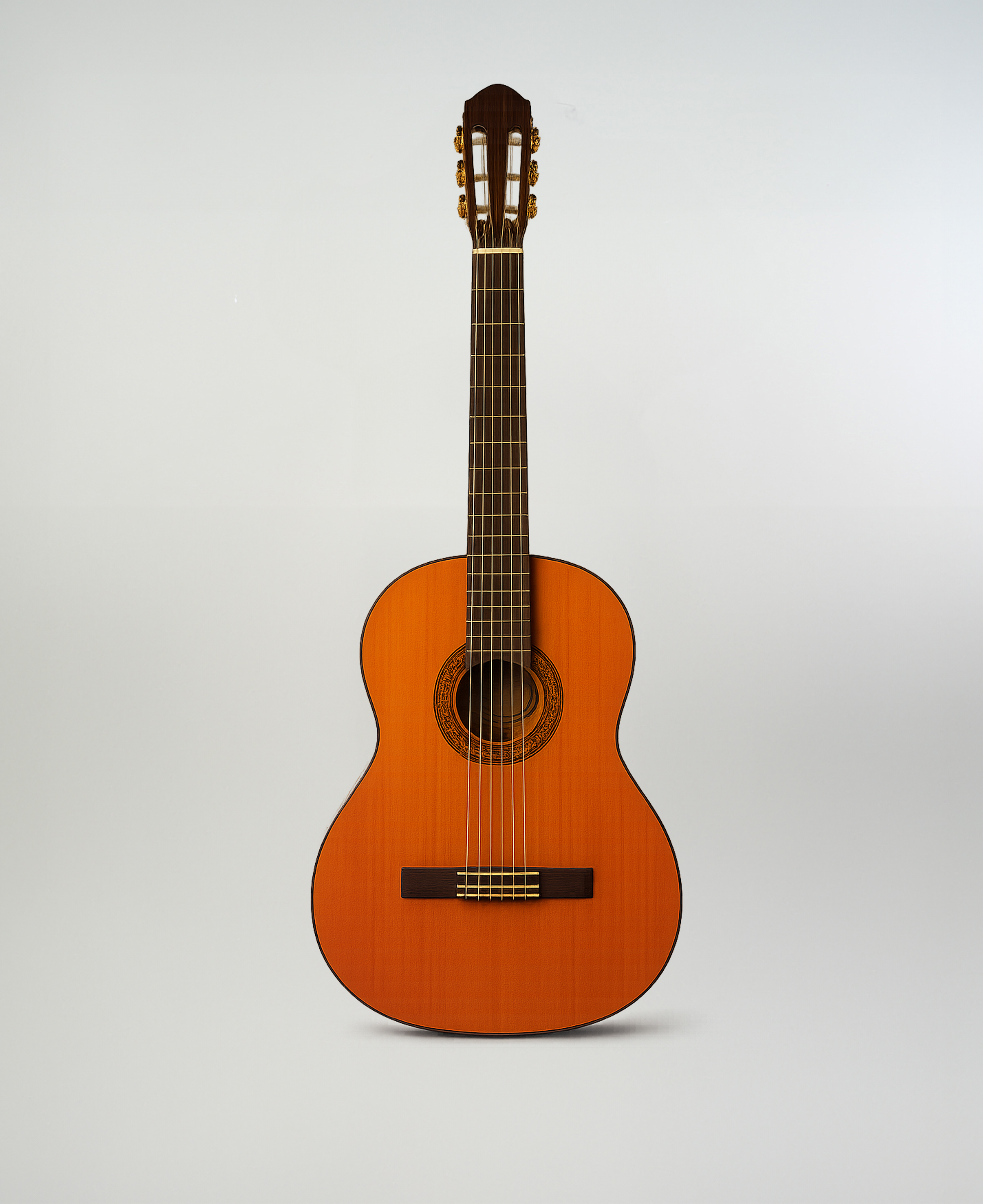 Guitarra Clásica imagen 1