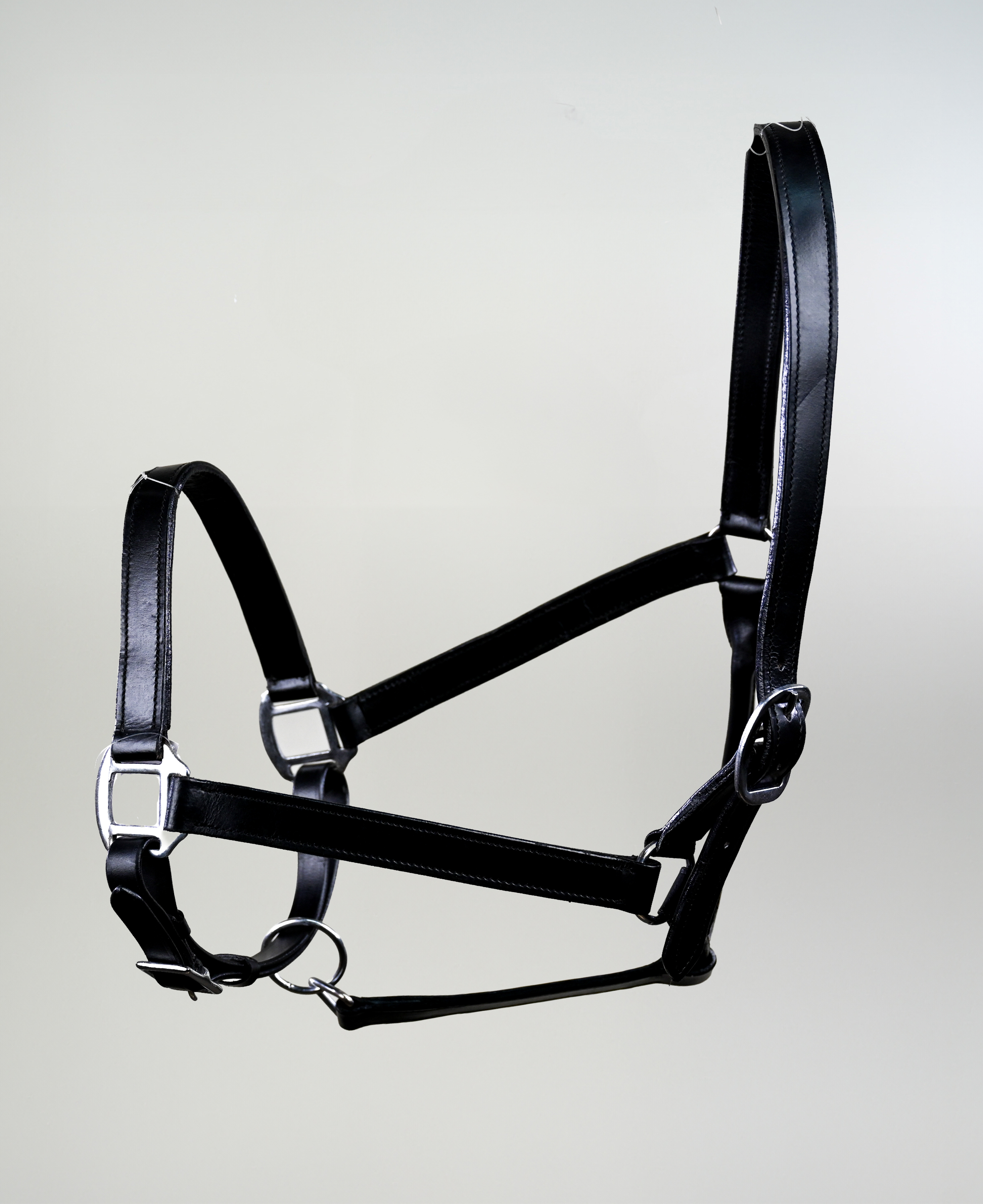 Jaquima Para Caballo De Cuero Catron imagen 4