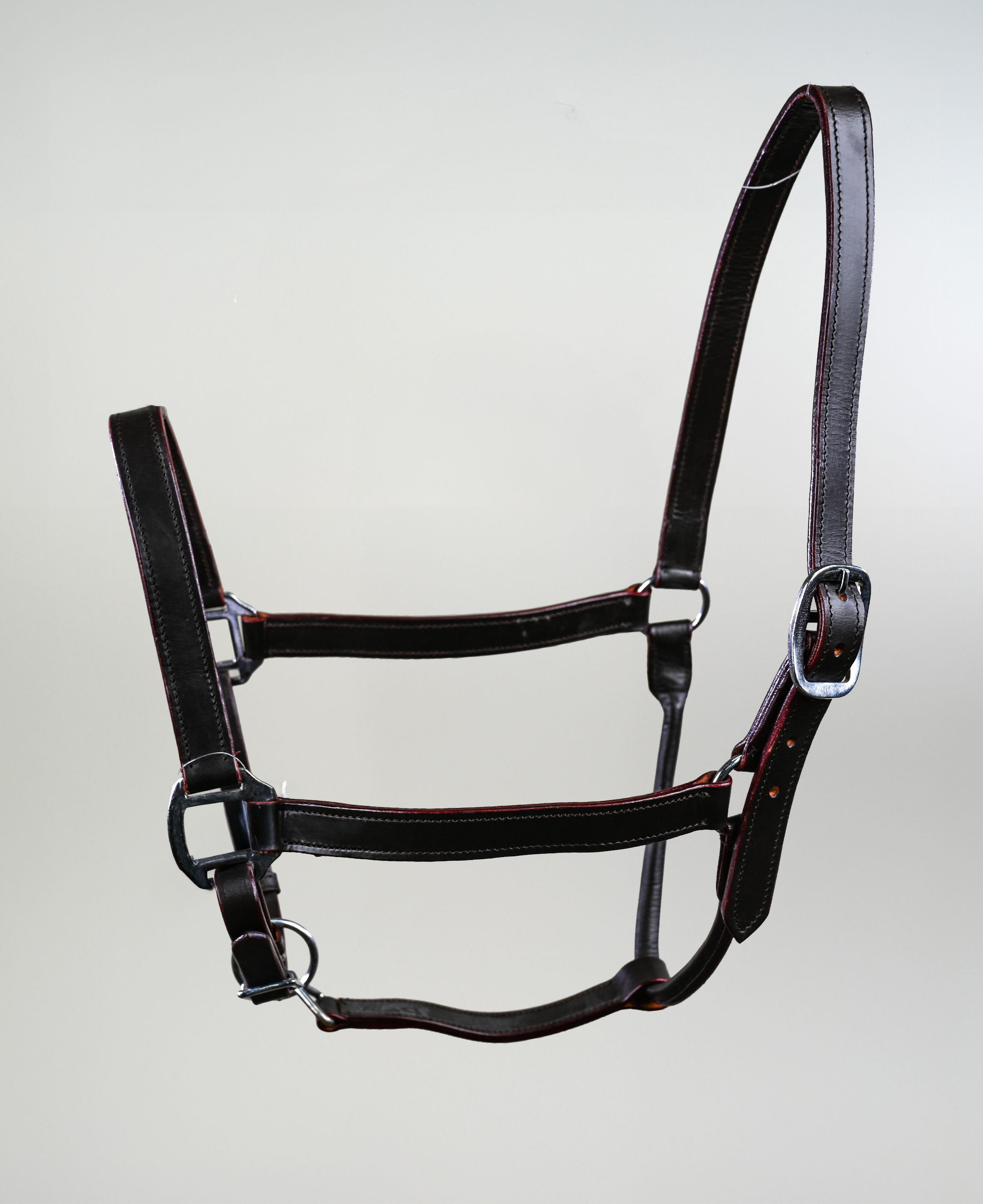 Jaquima Para Caballo De Cuero Catron imagen 6