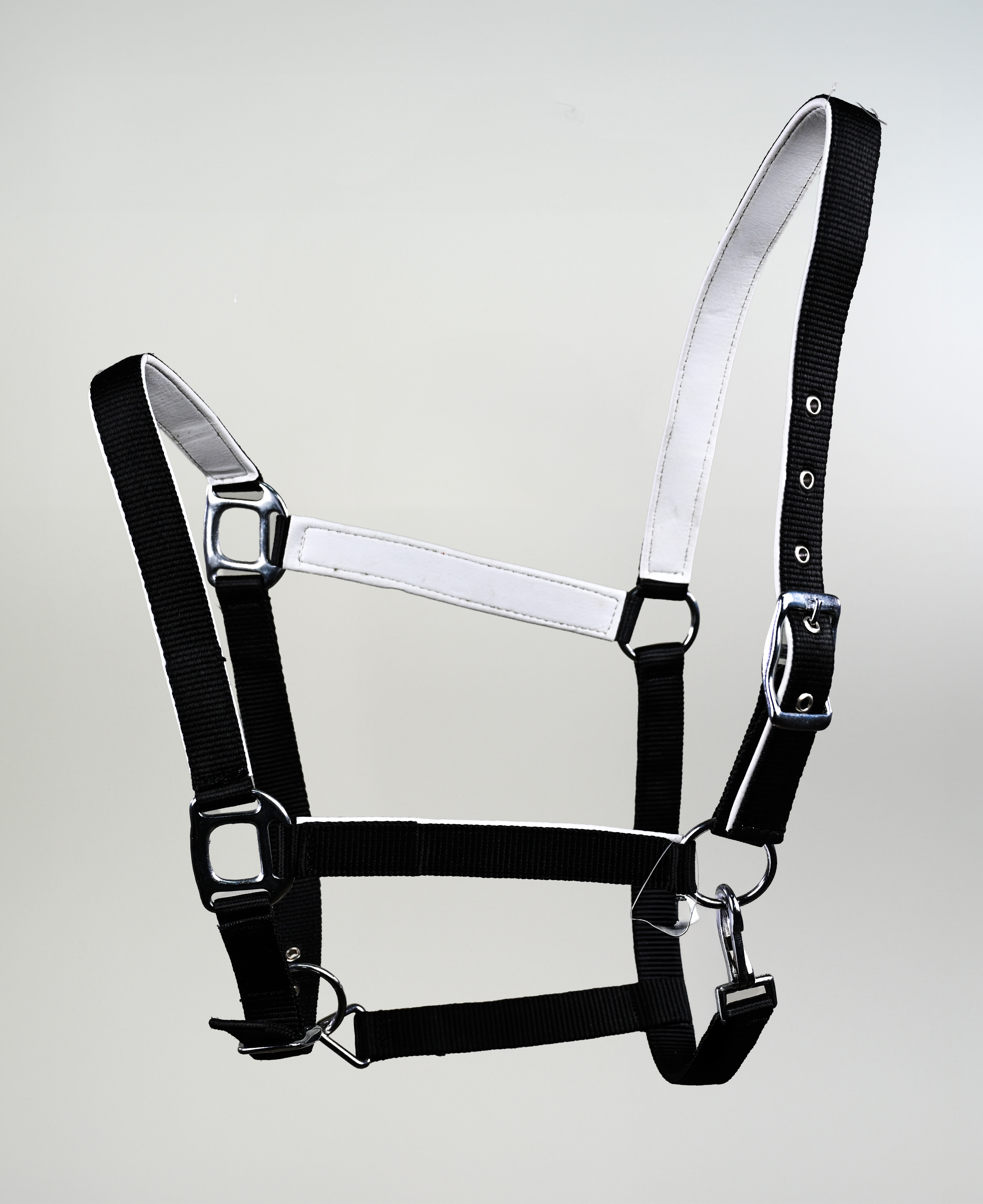 Jaquima para Caballo Reforzada Catron imagen 2