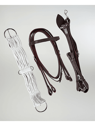 Montura Texana modelo 1 completa Catrón