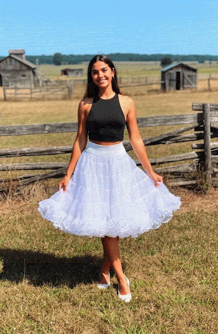 Falso Para Vestido De Huasa Falda Catron imagen 2