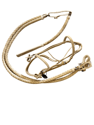 Rienda 6 hebras completa