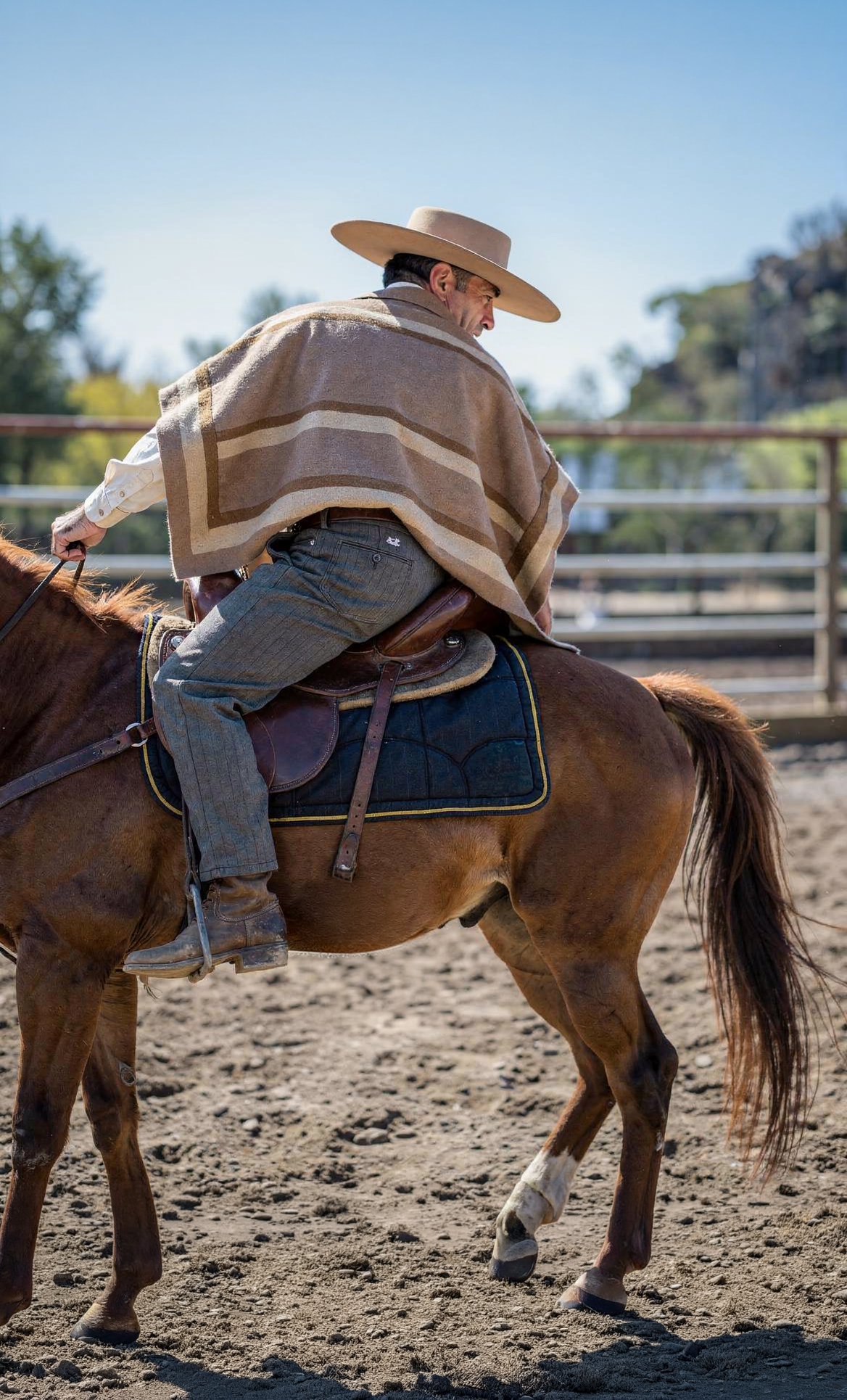 Pantalón De Huaso Corralero Elasticado Catrón imagen 2