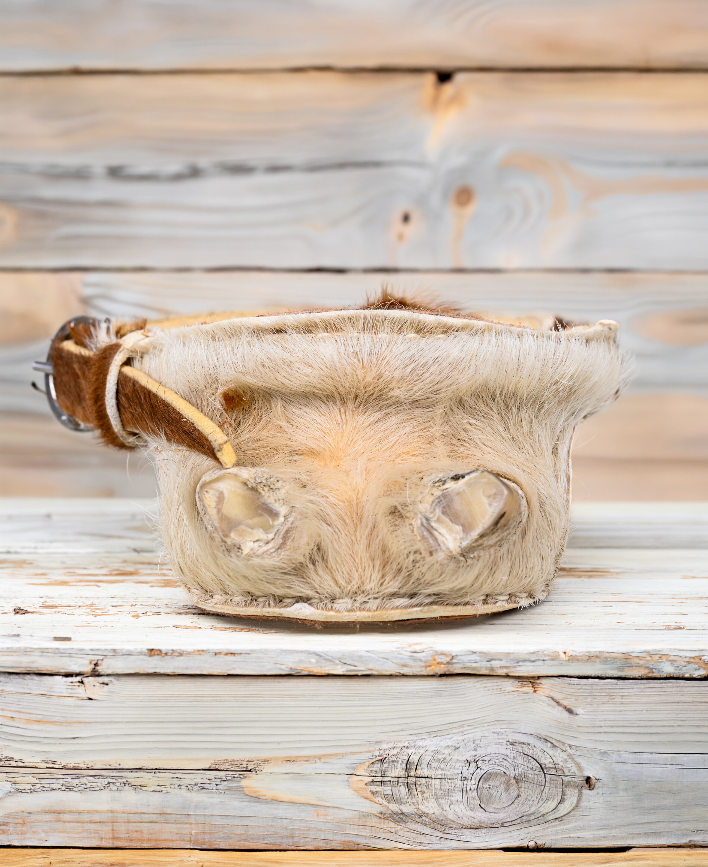 Talonera de Huaso Nonato Catron imagen 2