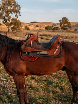 Montura corralera de dama cuero Chanco