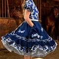 Vestido de China Azul Marino Catron – Cielo de la Tradición miniatura 2