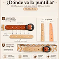 Puntilla Para Cinturón  miniatura 2