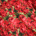 Vestido de China Rojo Floral Catron – Llama de la Medialuna miniatura 4