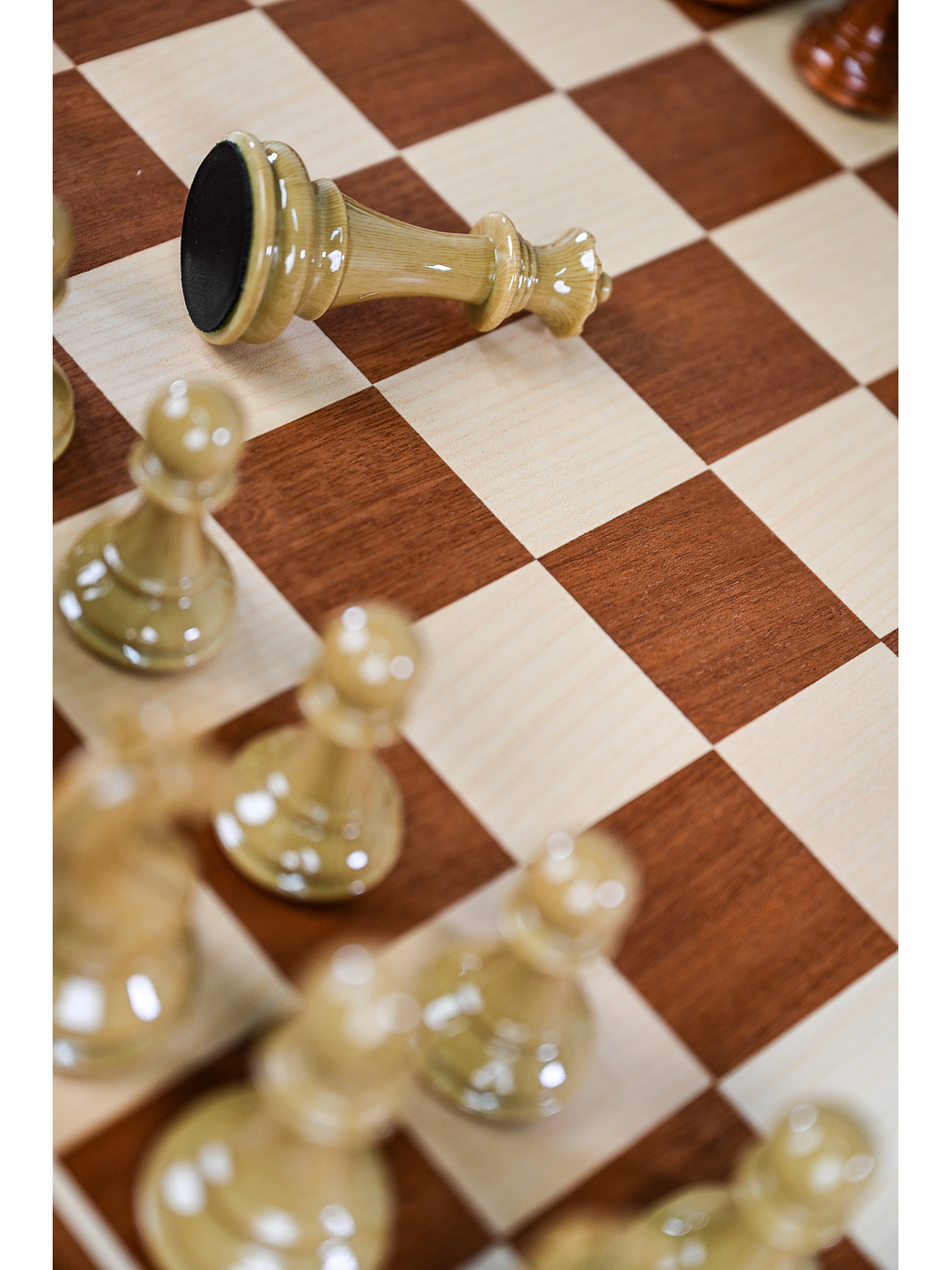 Set Ajedrez de Lujo 3