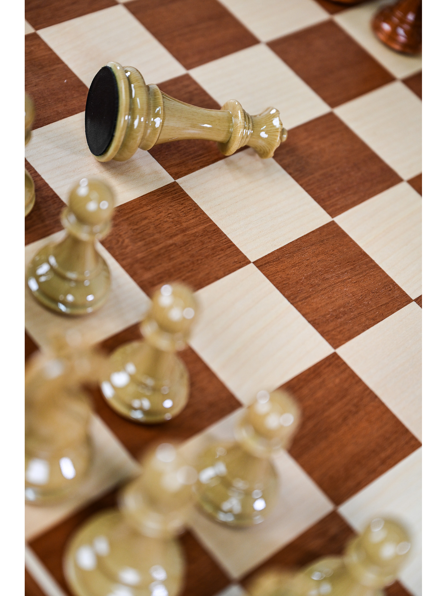 Set Ajedrez de Lujo 3