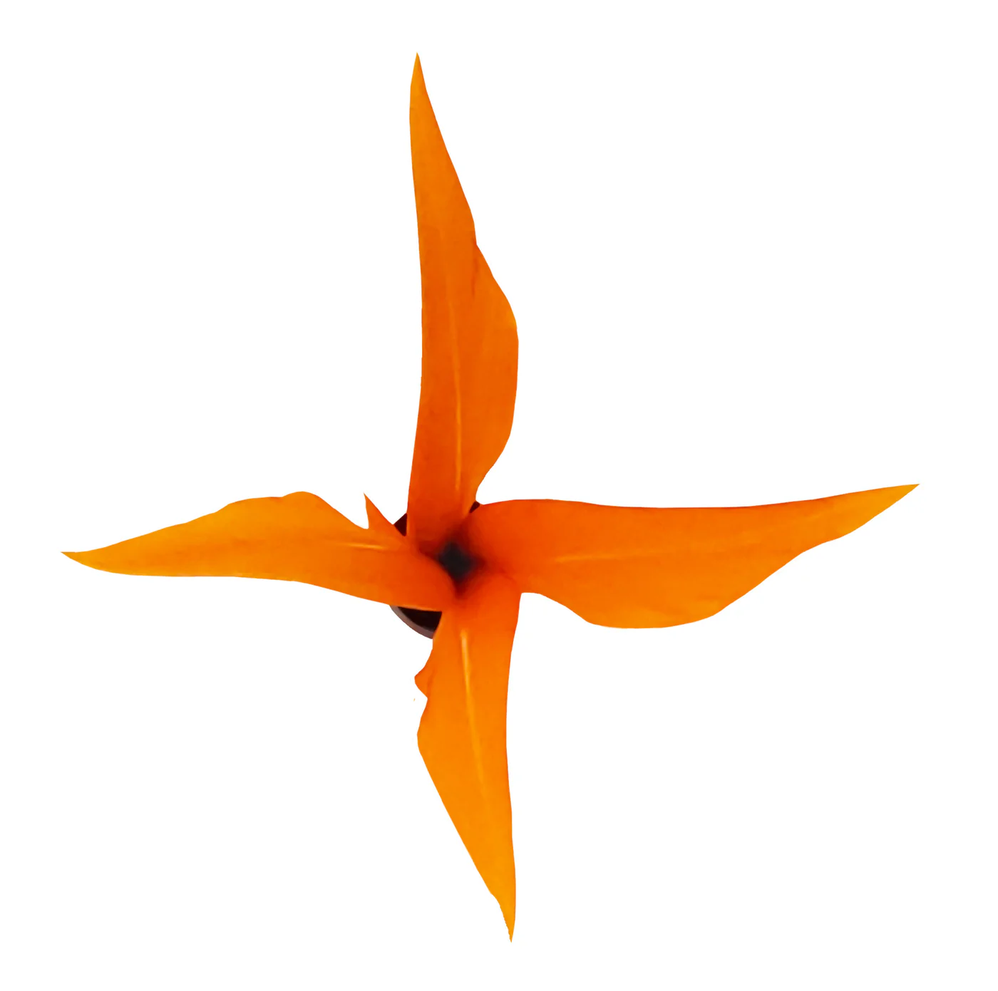 Jazzminton Plumas para Viento Outdoor S40 imagen 3