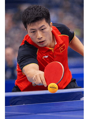 Pelota de Ping Pong Sen Sei 3 Estrellas 40 mm Oficial ABS