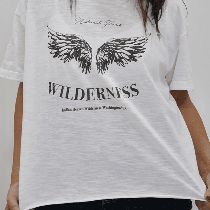 Polera Blu Blanca  2