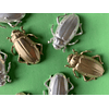 Prendedor Escarabajo Metalico