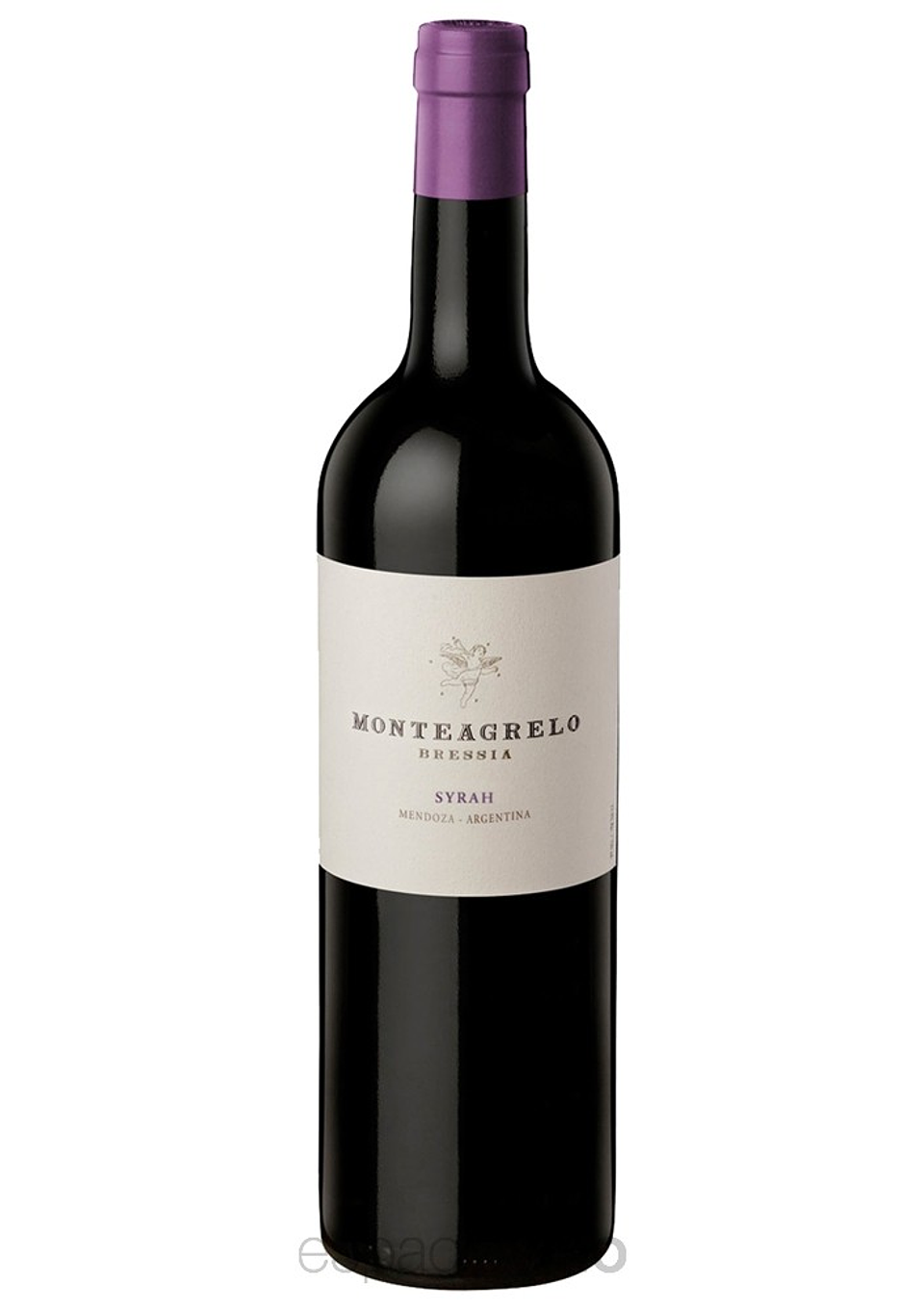 BRESSIA MONTEAGRELO Syrah 1