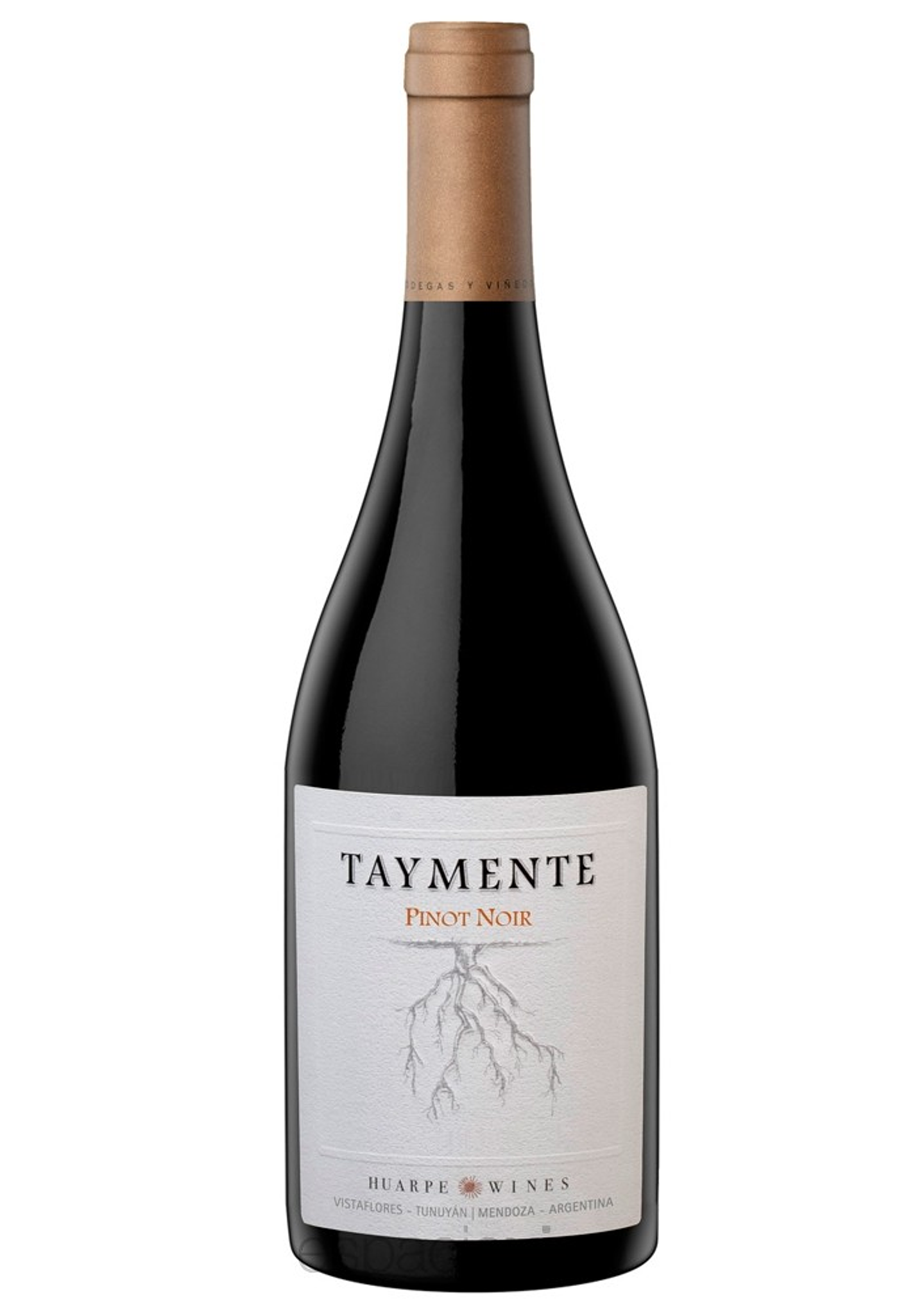 HUARPE TAYMENTE PINOT NOIR  1