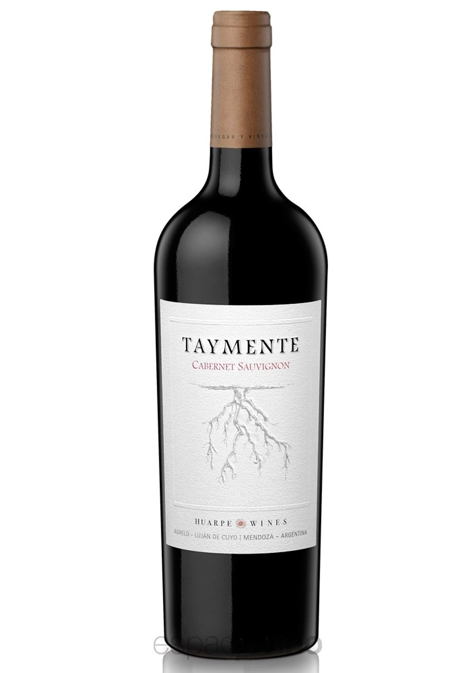 HUARPE TAYMENTE CABERNET SAUVIGNON 1