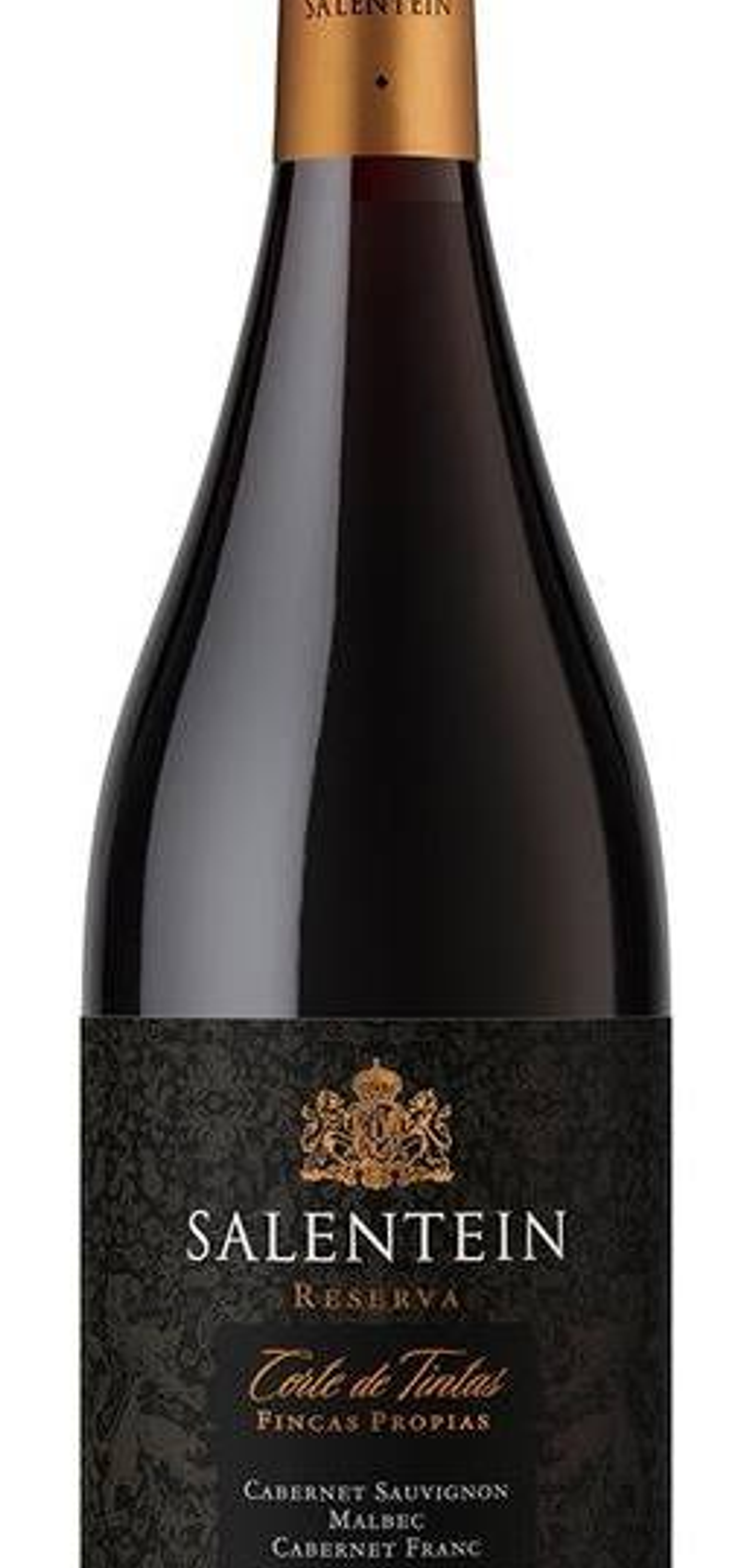 SALENTEIN CORTE DE TINTAS 1