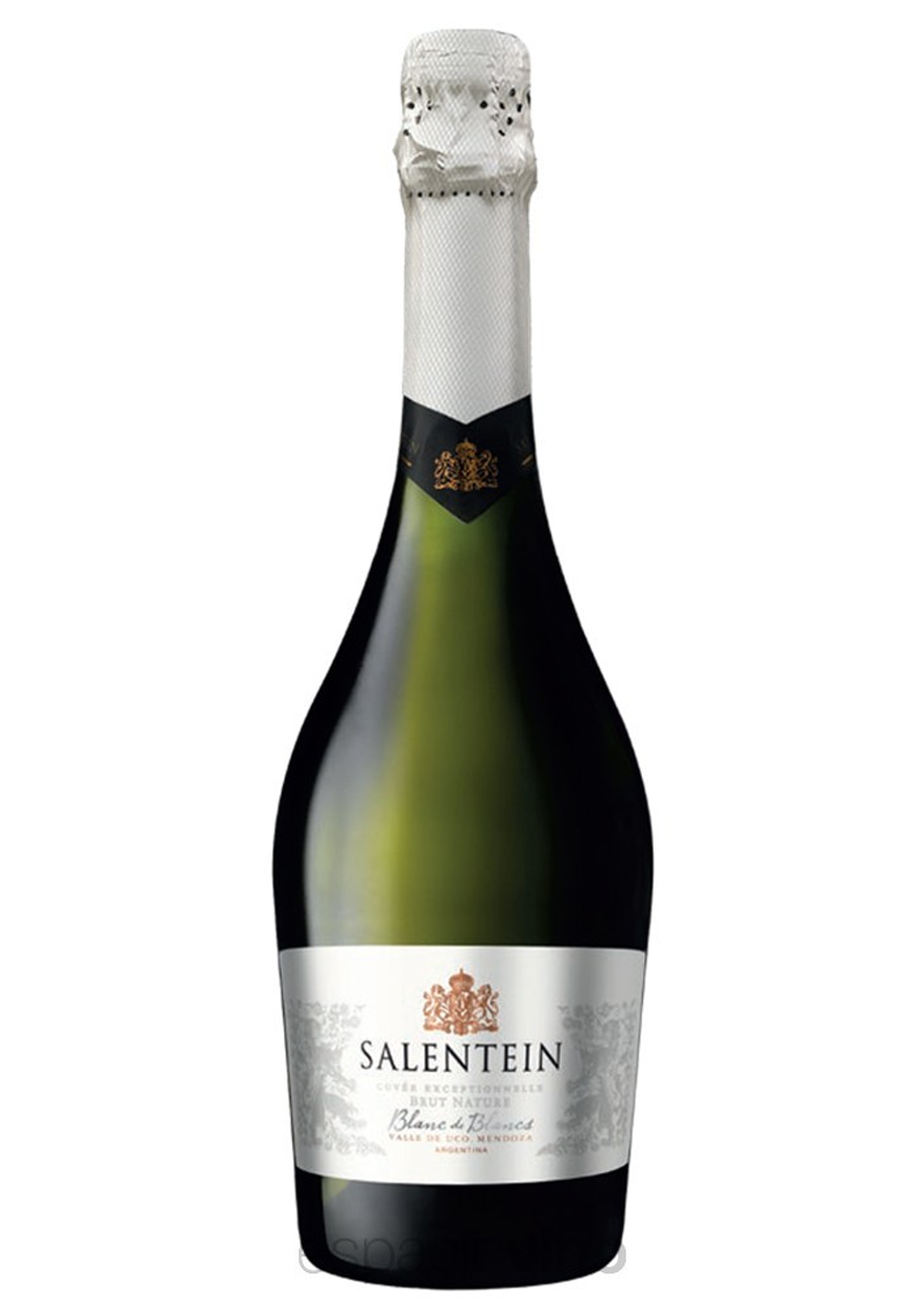 SALENTEIN BLANC DE BLANCS 1