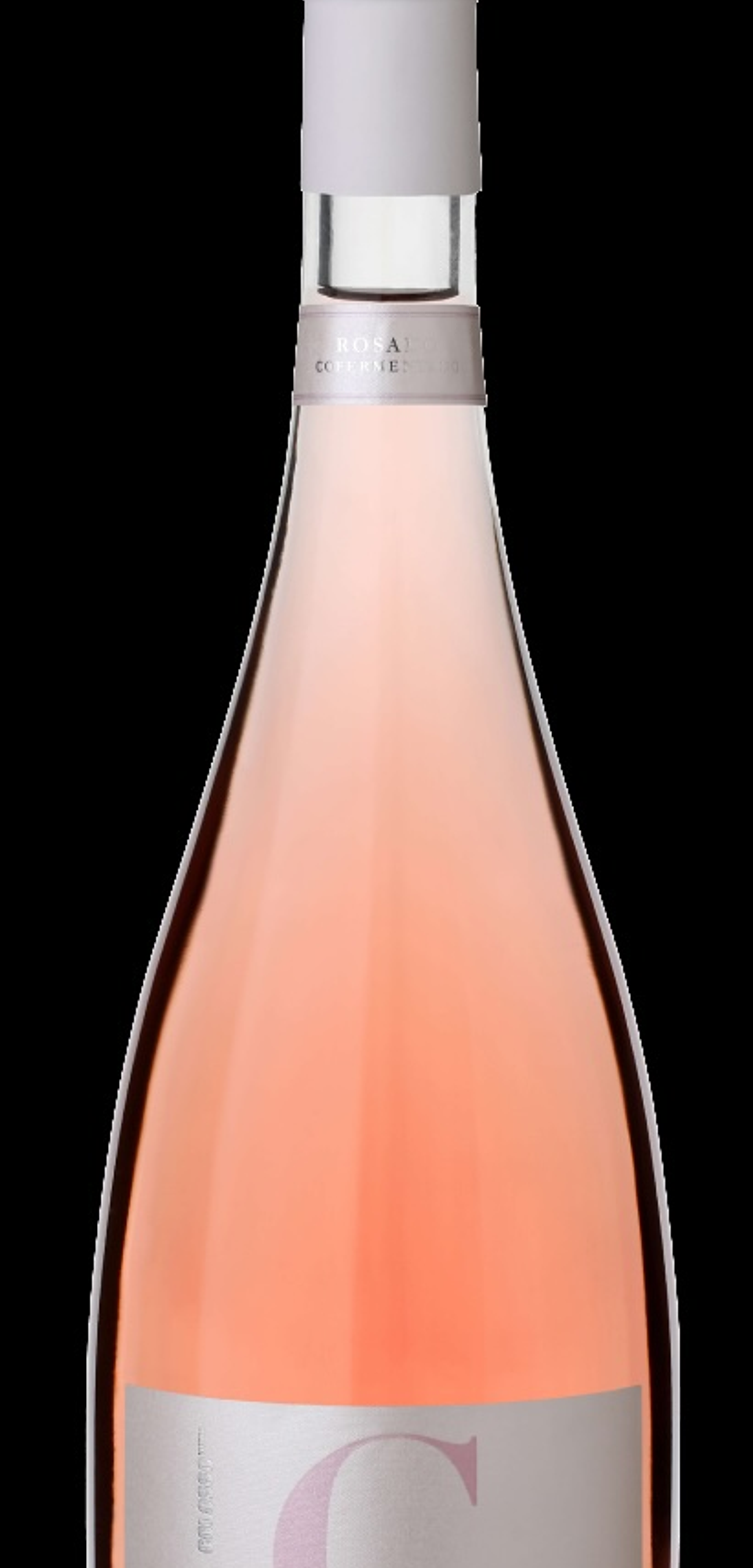COLOSSO ROSADO 1