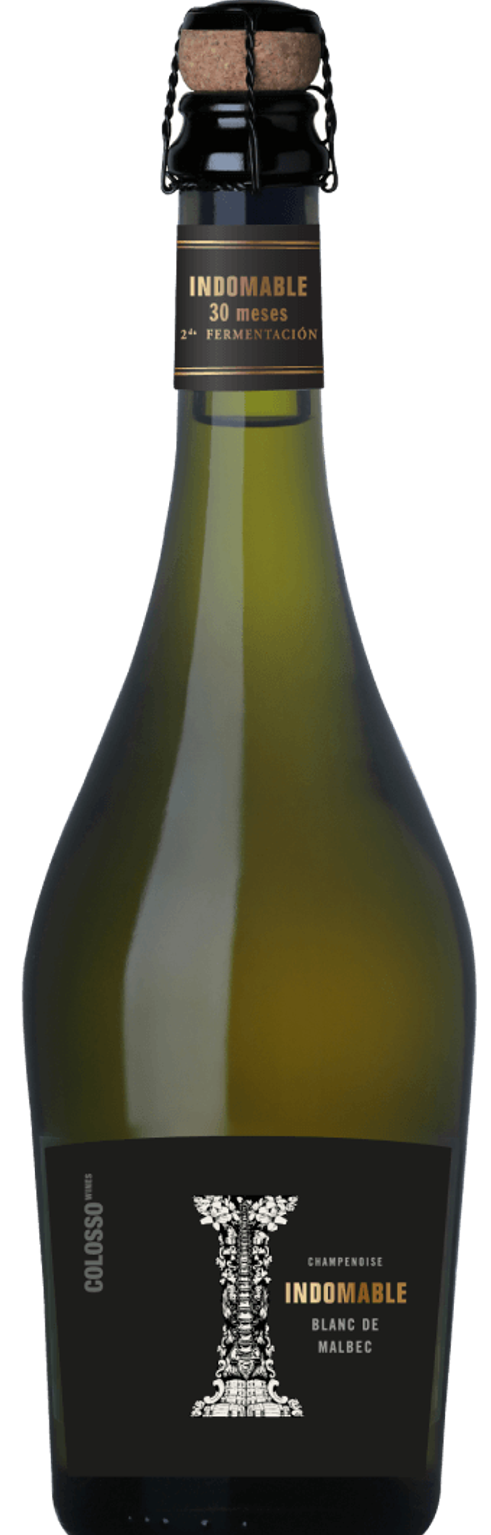 INDOMABLE BLANC DE MALBEC 1