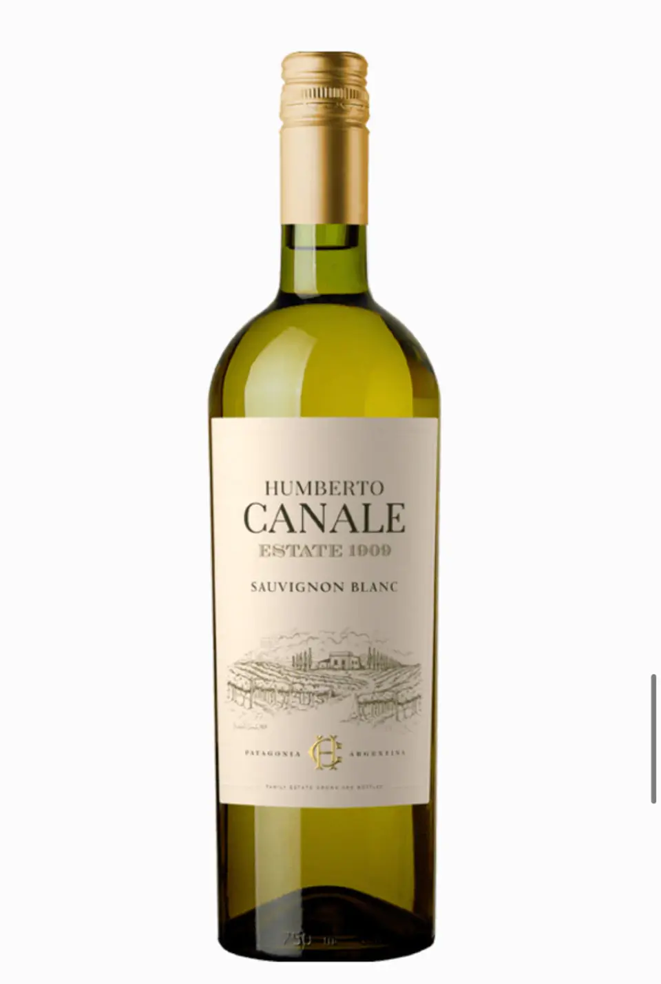 HUMBERTO CANALE ESTATE SAUVIGNON BLANC 1