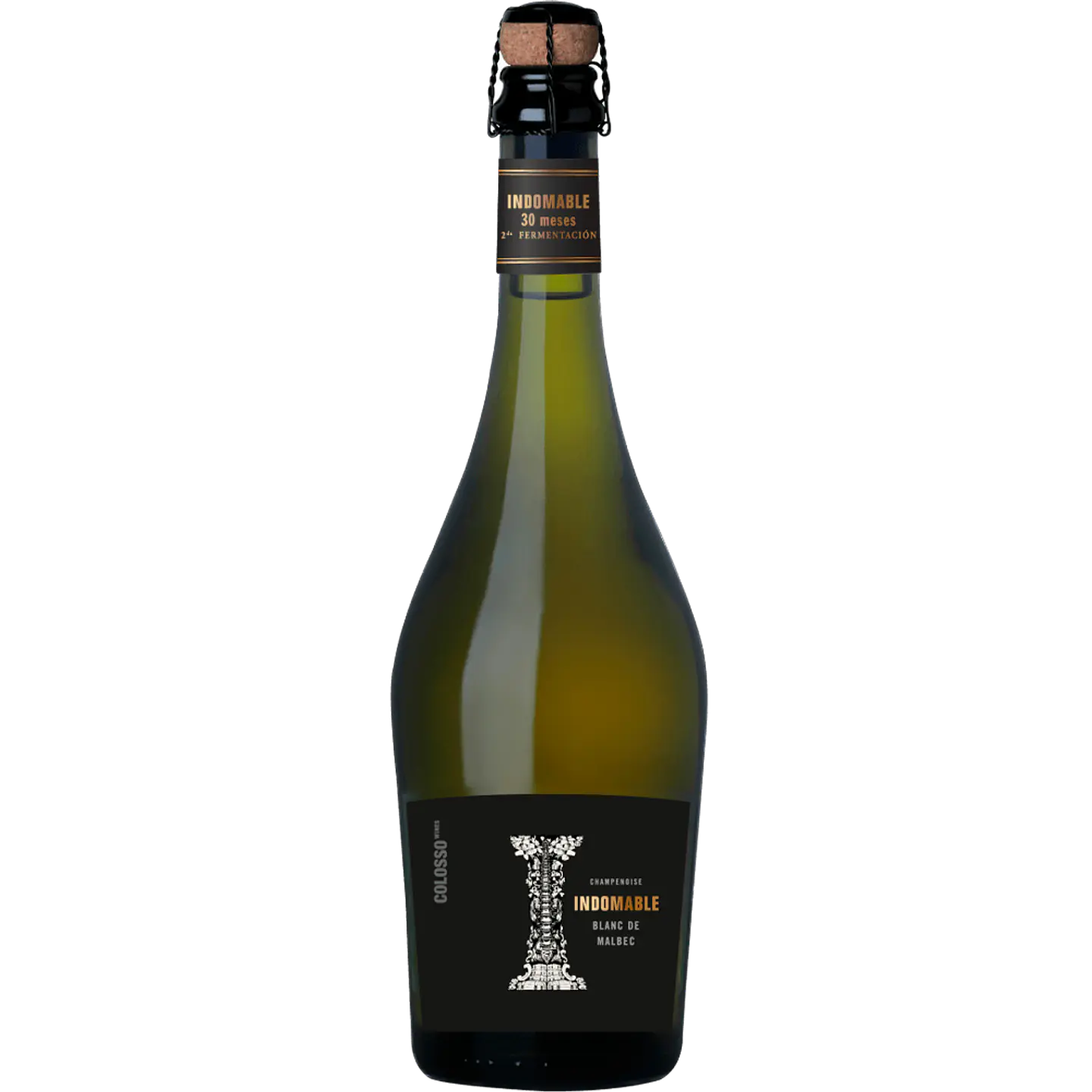 INDOMABLE BLANC DE MALBEC 1