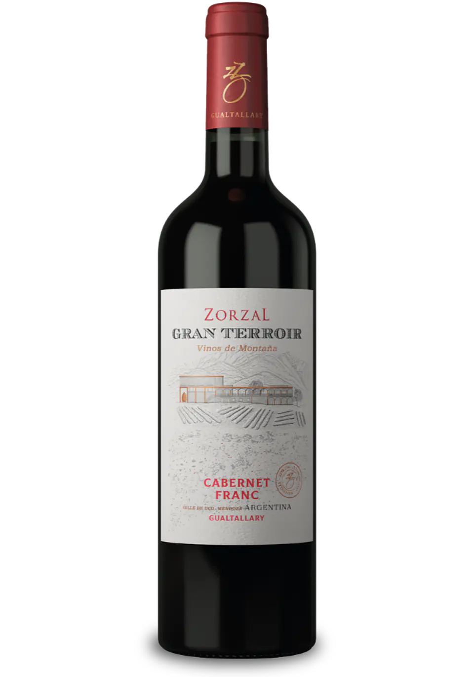 ZORZAL GRAN TERROIR Cabernet Franc 1